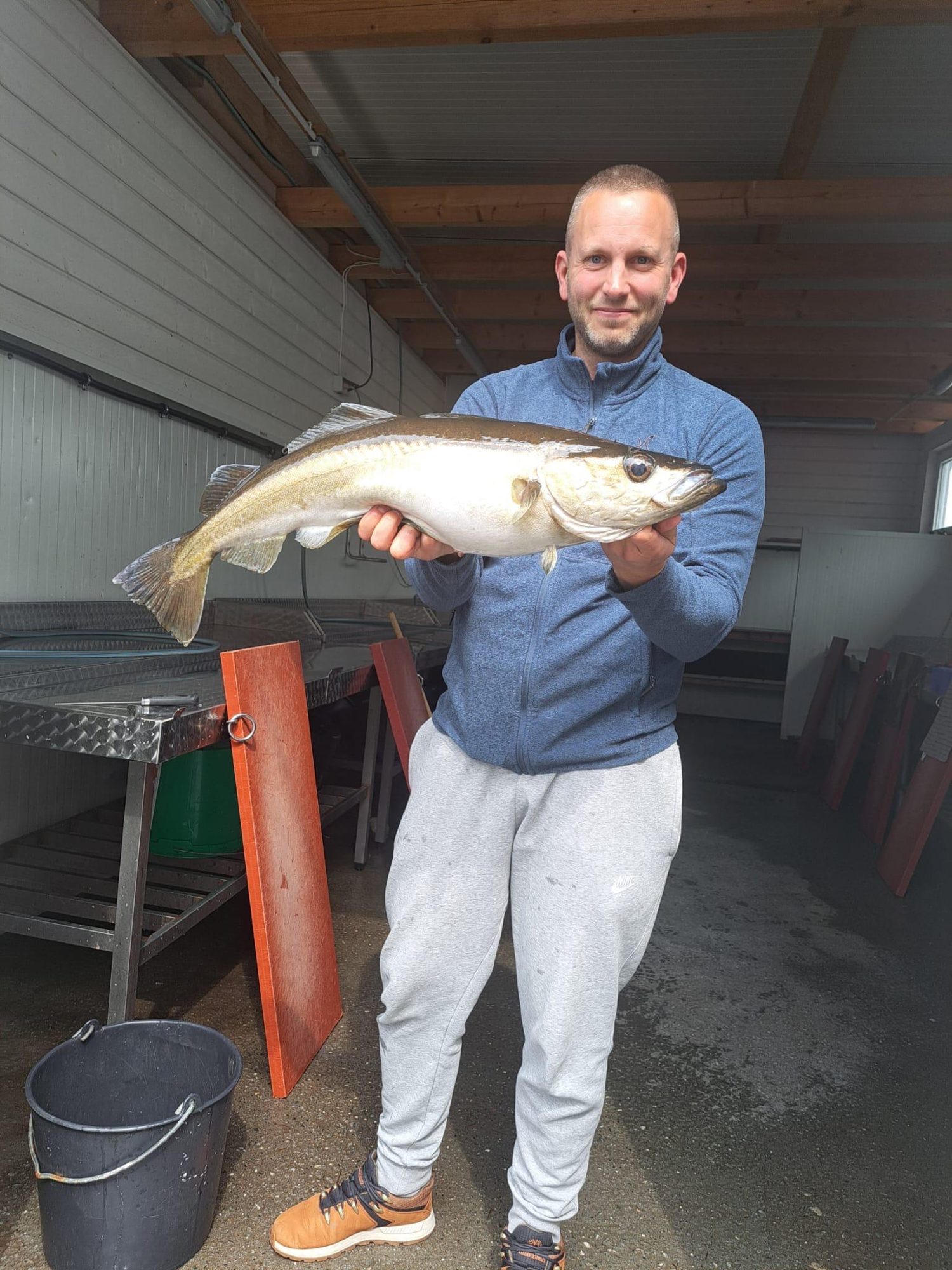 Fang im Filetierhaus eines Norwegen-Camps